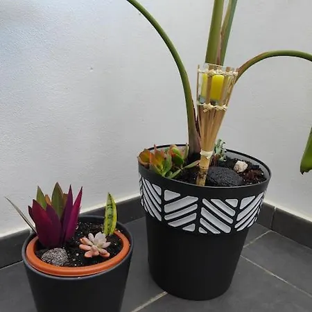 Marta & Lorenzo Apartment. Fuerteventura דירה
