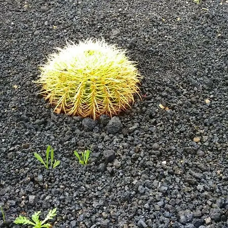 Marta&lorenzo Apartment. Fuerteventura *