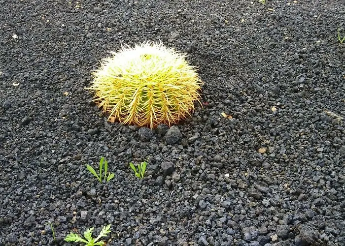 Marta&lorenzo Apartment. Fuerteventura *