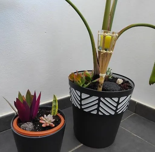 Marta & Lorenzo Apartment. Fuerteventura 아파트